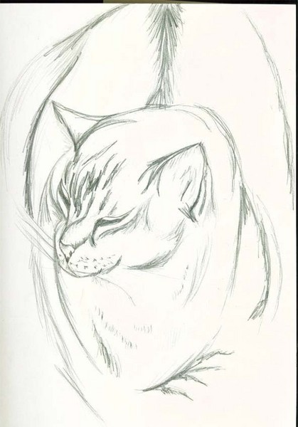 purrrrrrrrrrrrrrrrrrrr!
