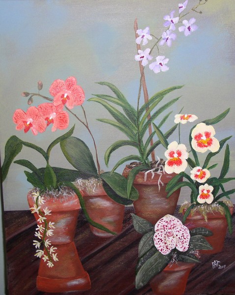 Orchids