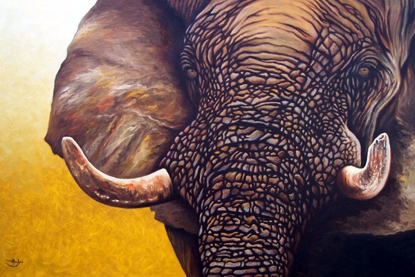 Soul of the Savannah