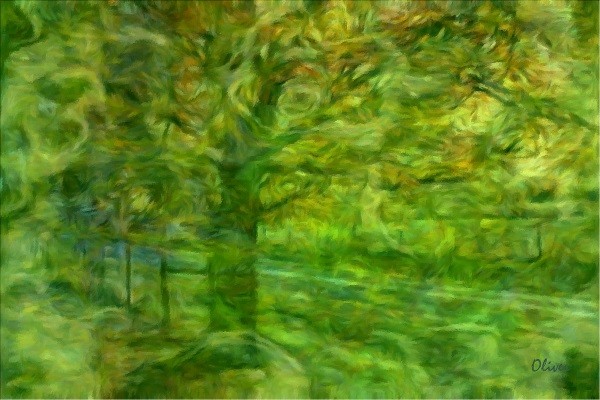 Spring Manifestations