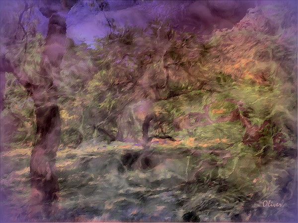 Shadey Grove Daydreaming