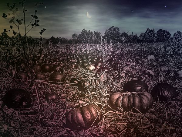 All Hallows Eve