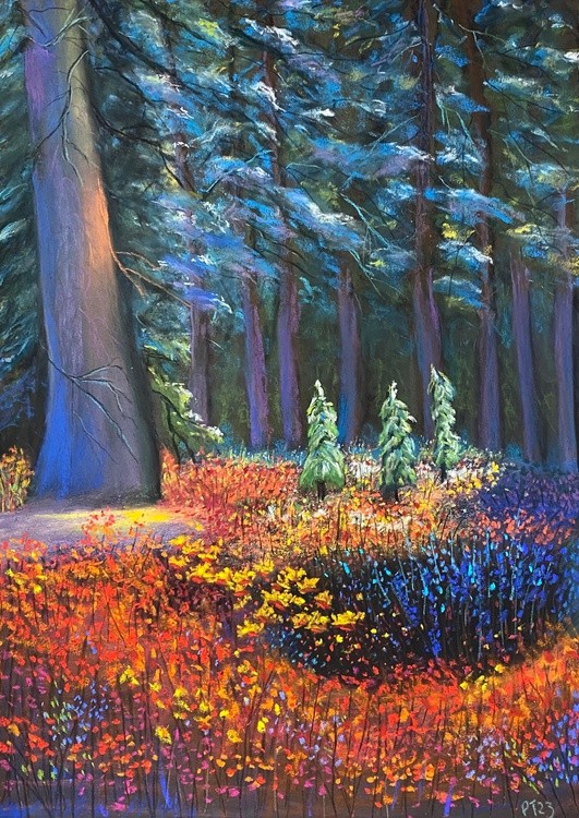 Enchanted Forest