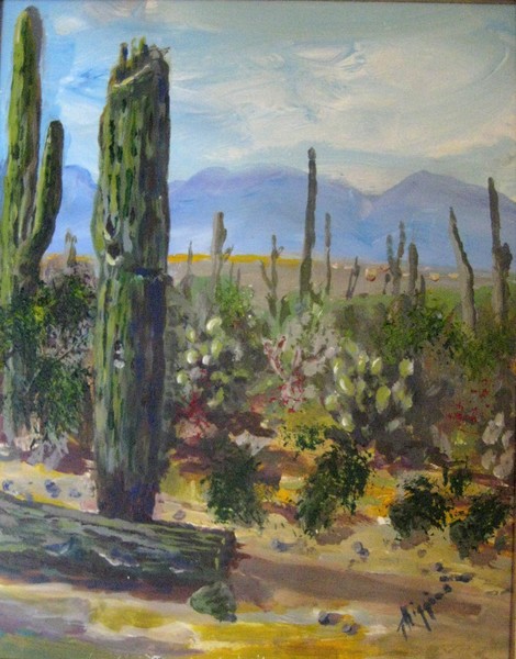 Three Points AZ from Brown Mountain