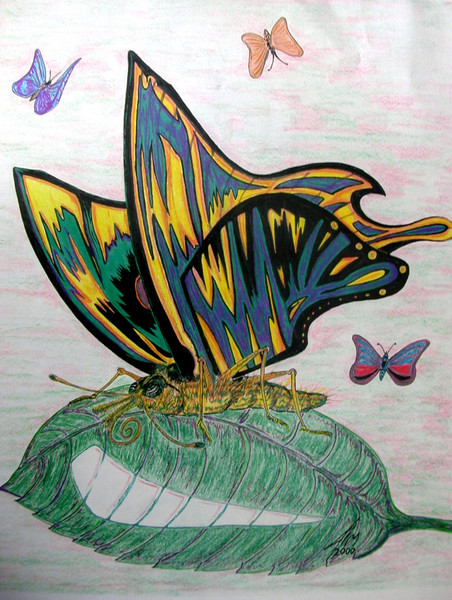 Rainbow Wings