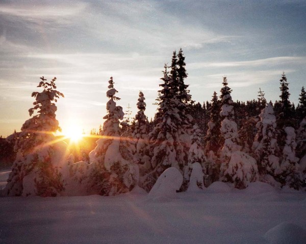 Winter sun in February 1997