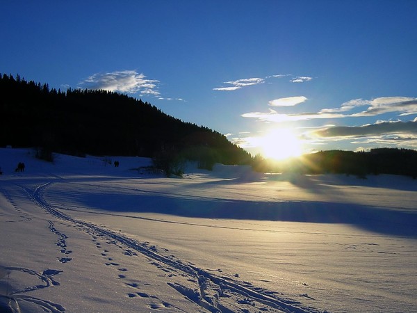Winter day