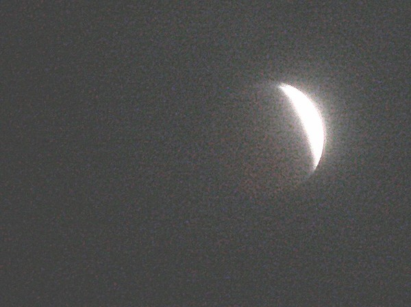 Moon Eclipse