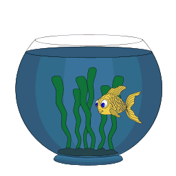 Stupid Things Fish Do