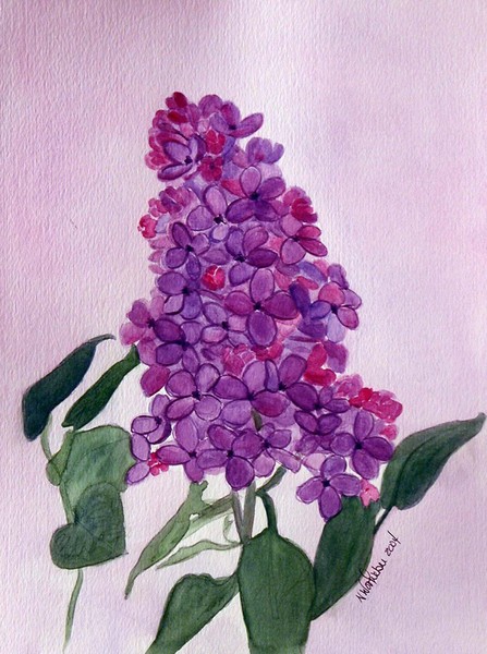 Lilac Sprig