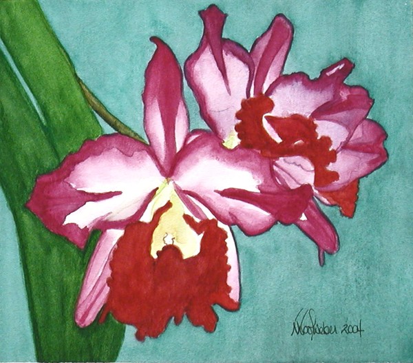 Orchids of Pink