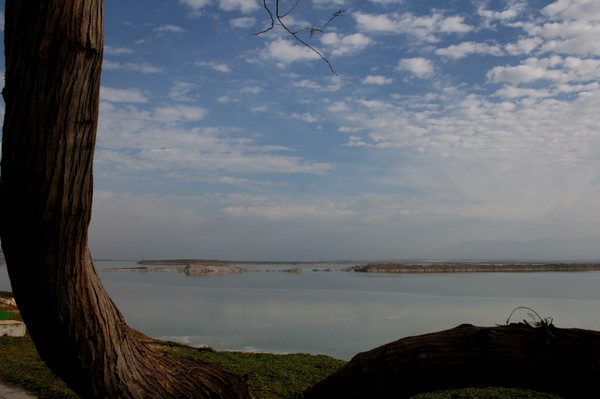 Tha Dead Sea (2)
