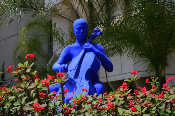 Cellist
