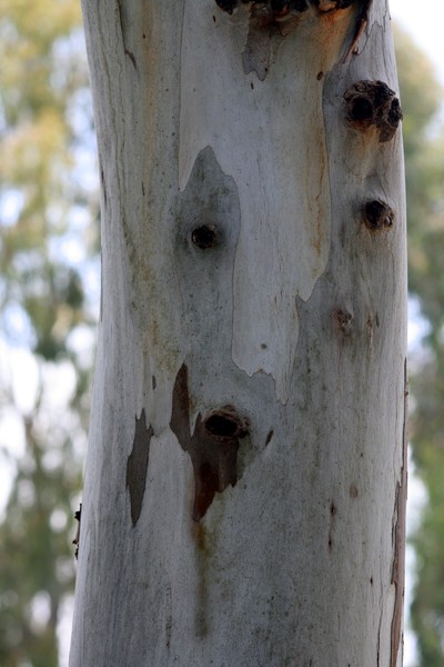 Sad Face (2)