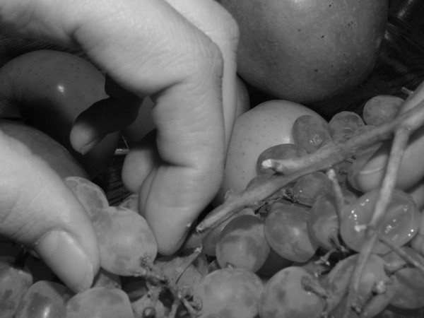 Picking the fruit of your labor