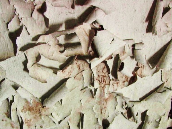 347. Abstracts found...