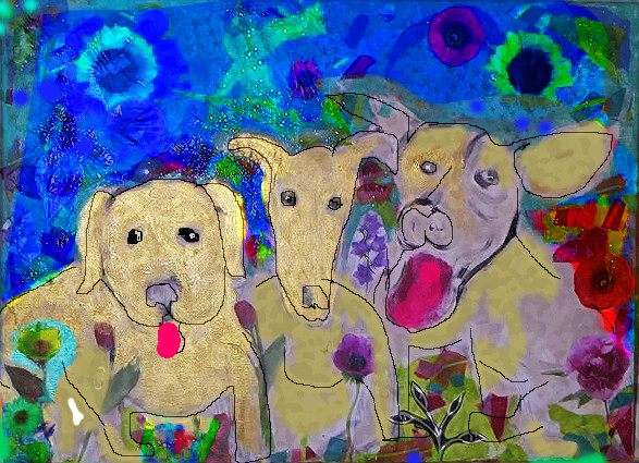 My Three Dogs