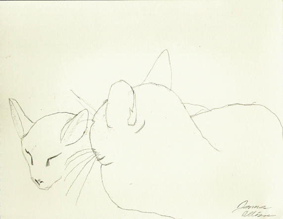 Jake & Suzy