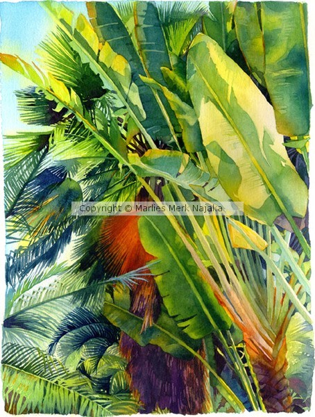 cayman palm