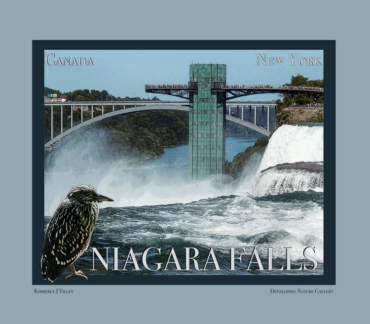 Niagara Falls Poster