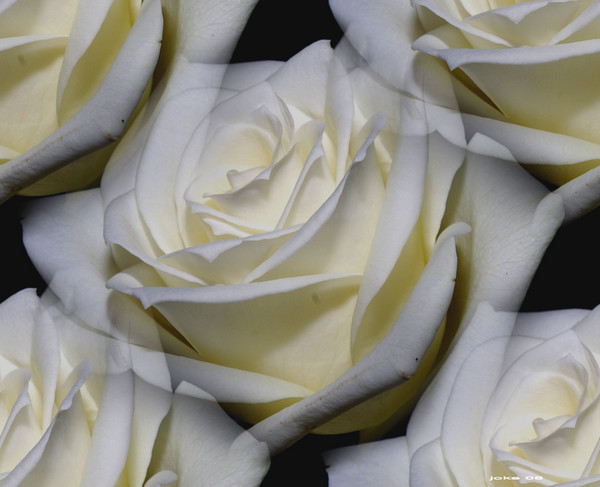 Have all an beautiful weekend.