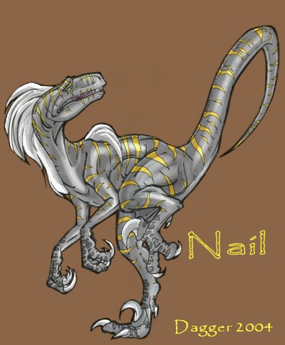 Nail