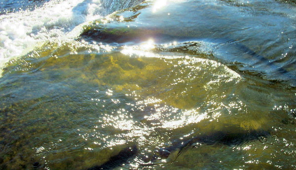 Rushing Water