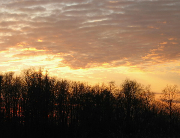 November Sunset
