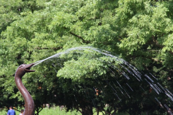 Fountain