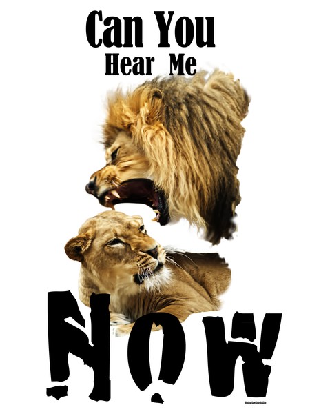 Can you Hear me now Design