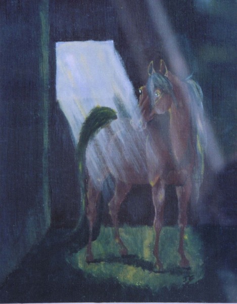 Stalled Arabian