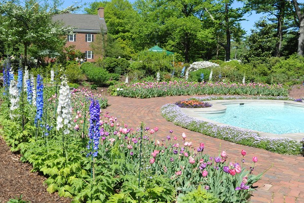 Spring at Mt. Cuba Center