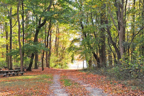 Lums Pond