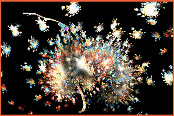Spontaneous Combustion
