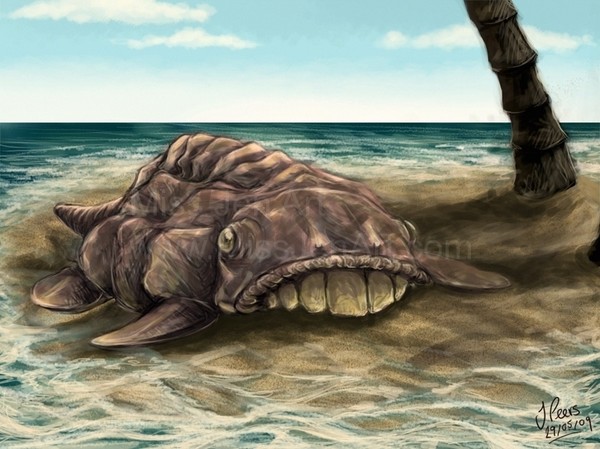 Lump