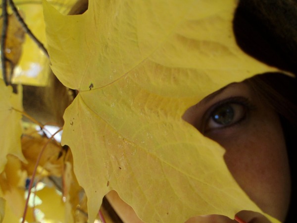 Autumn Eye