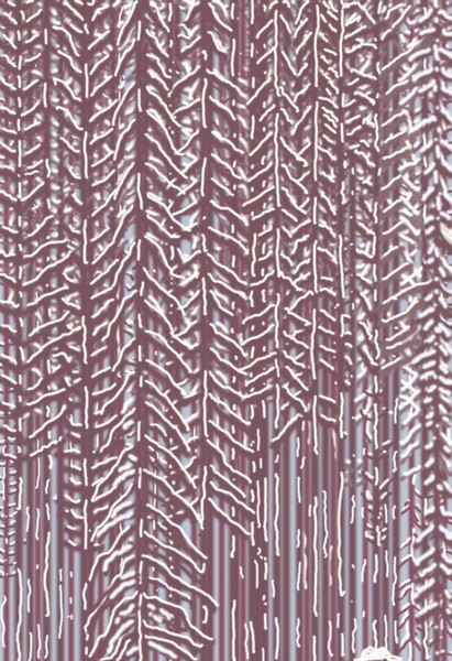 Forest in the Winter