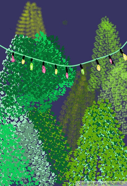 xmas tree sales yard  P227