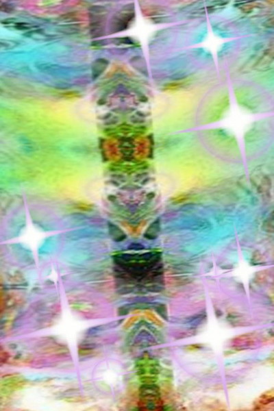 Do Rays