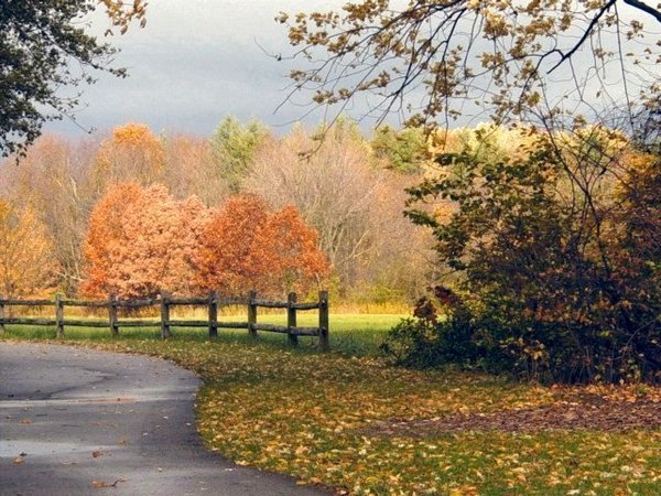 The Old Path