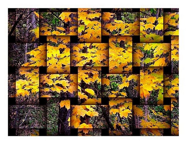 Autumn Weave