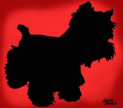 Dog11