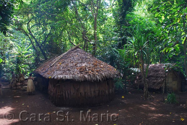 Traditional Vanuatu hut