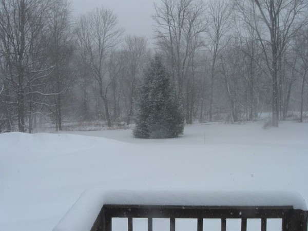 Blizzard of 2011