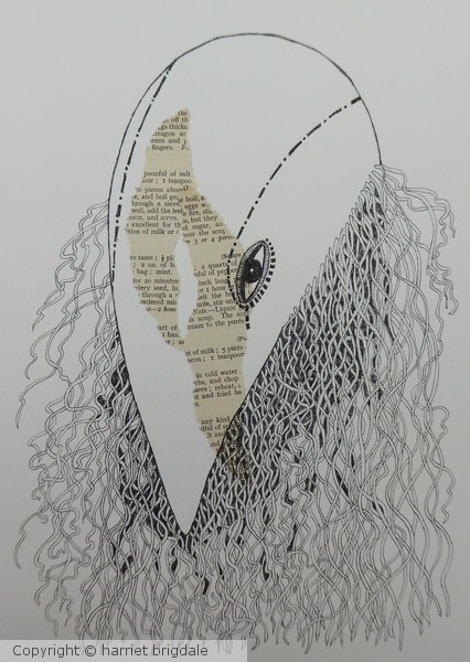 bird mask