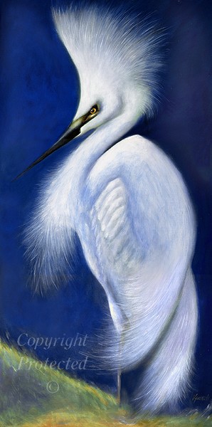 Snowy Egret