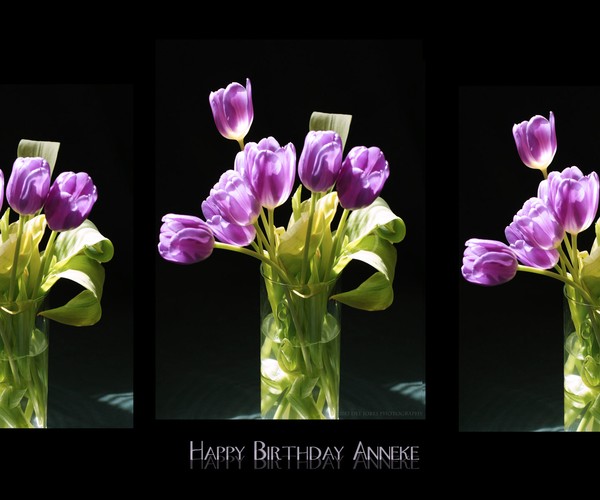 Happy Birthday Anneke