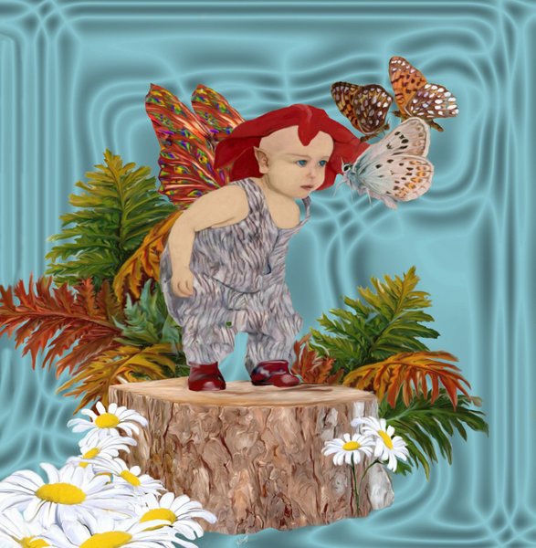 Ferns and Daisies