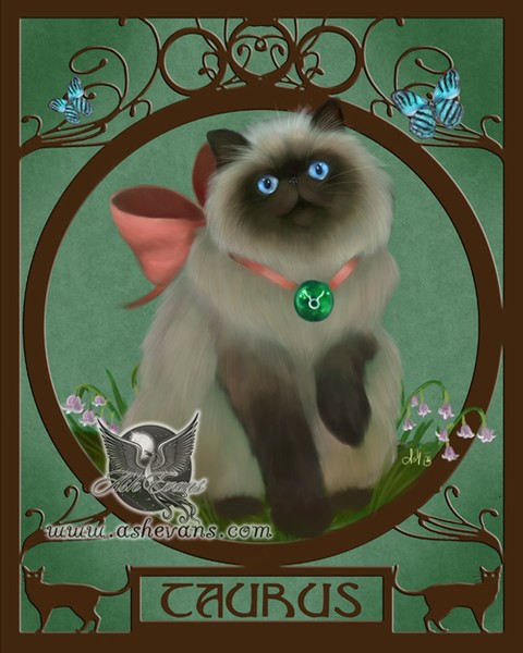 Taurus the Zodicat