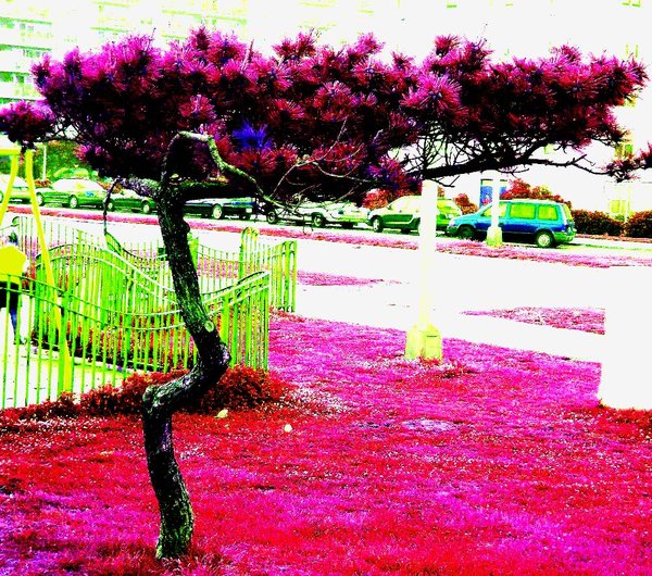 Color my world